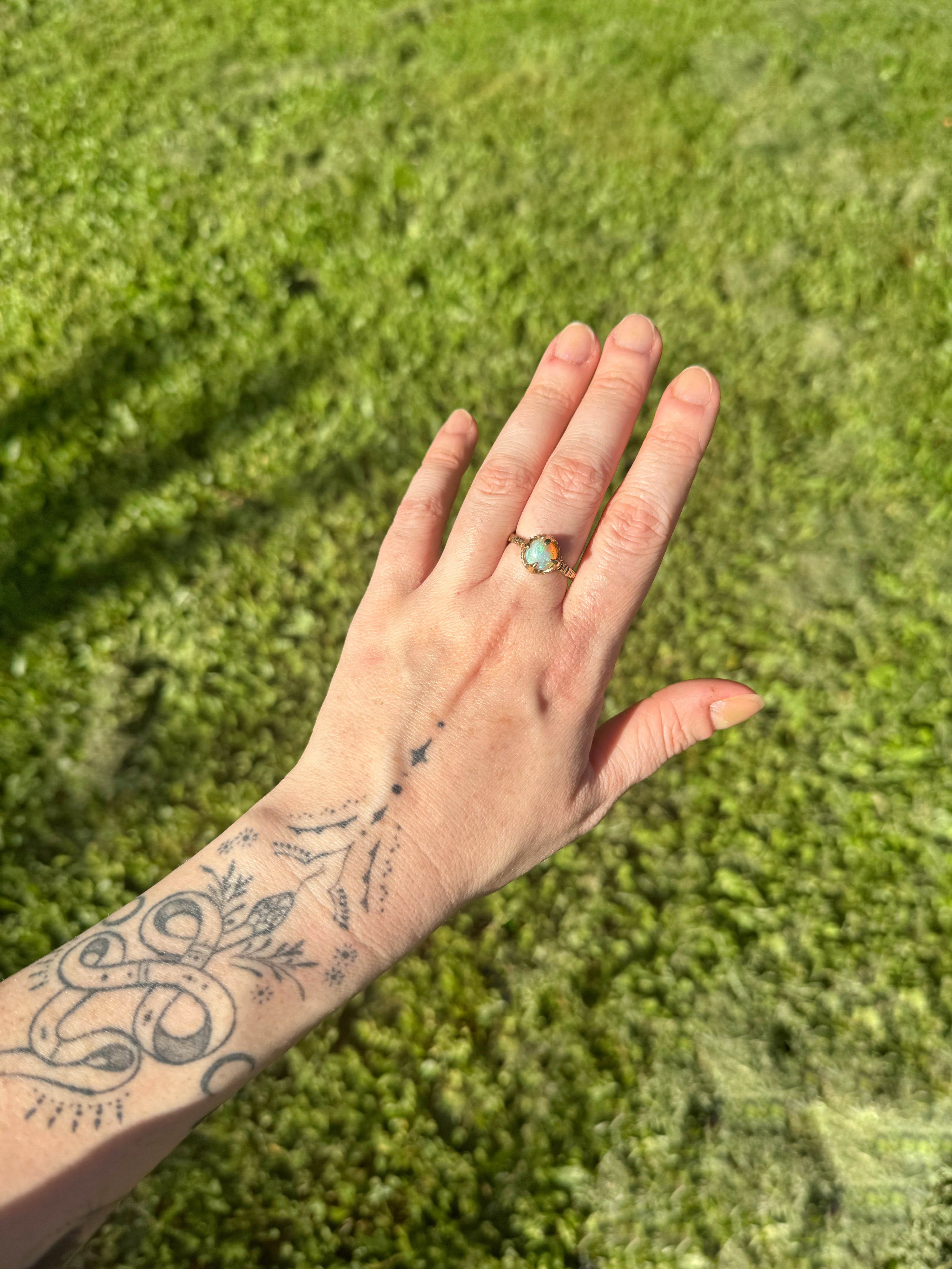 Zoom