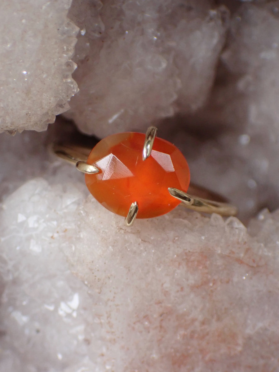 Clementine Band | Gold Carnelian Ring | Size 5.25 / K (OOAK & Ready to Ship)
